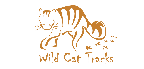 Wild Cat Tracks